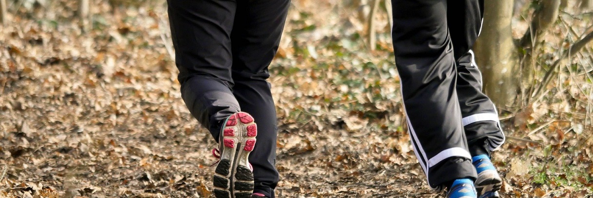 crosslauf_2019.jpg