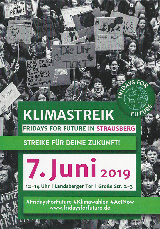 fridays_future1.png