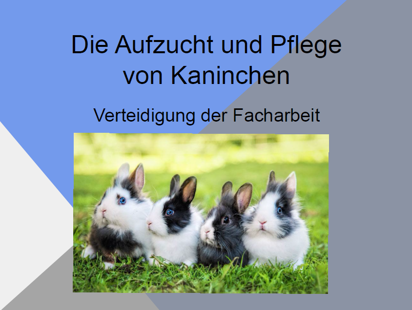 kaninchen_facharbeit.png